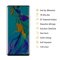 1x Blickschutz 9H Panzerhartglas für Huawei P30 Pro Anti-Spion Displayschutz Panzerfolie Schutzfolie echtes Tempered Panzerglas Schutzglas Screen Protector