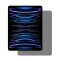 1x 9H Panzerglas für iPad Pro 12.9 2019 2020 2022 ANTI-SPY Privacy Displayschutz Panzerfolie Schutzfolie Hartglas Schutzglas Displayglas Tempered Glasfolie Sicherheitsglas Echtglas